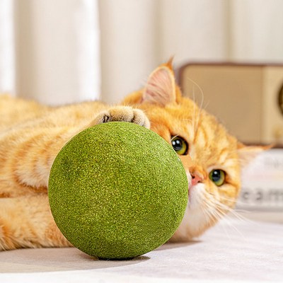 ũ������ ��ġ�� ������ ��� Ĺ�غ� 10cm