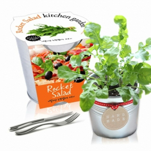 1300K 세경팜 양철키친가든 루꼴라 식물키우기 텃밭가꾸기이미지입니다. 누르면 해당 게시물로 새창이동합니다.