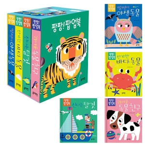 블루래빗 팝업! 팝업북 세트_이미지