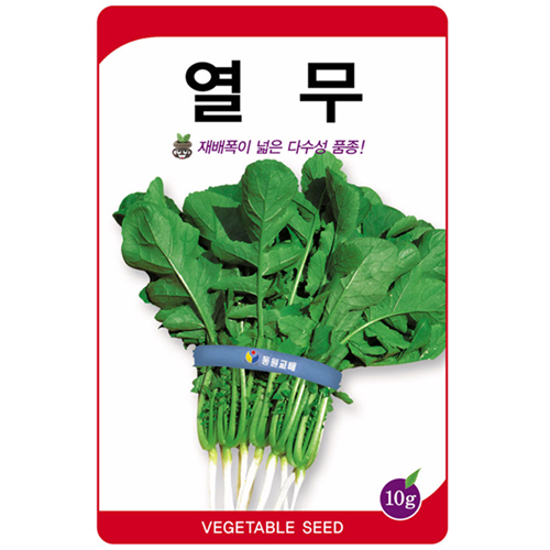 �������� ���� �ҹ������� ���� 10g
