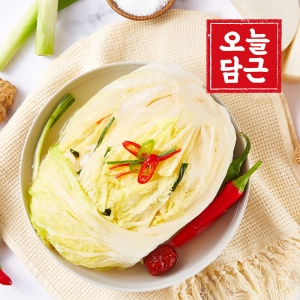  오늘담근 전라도 백김치 5kg