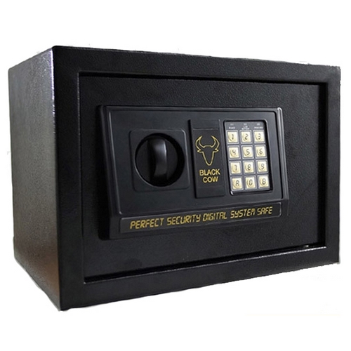 인포벨 블랙카우 BC-30