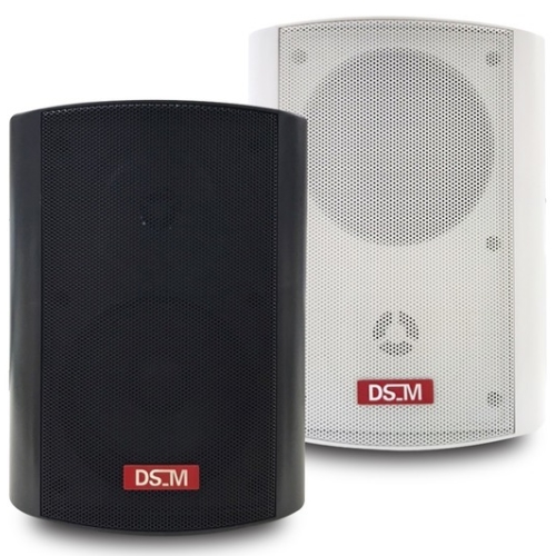 ���θ��� DS-520
