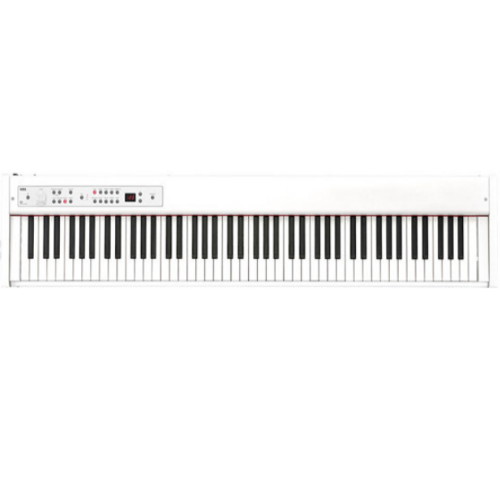 코르그 D1 (일반)_이미지
