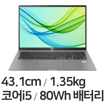 LG전자 2021 그램17 17ZD95N-GX5SK