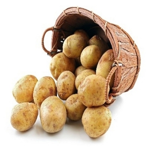 자연품애 햇 감자 조림용 10kg