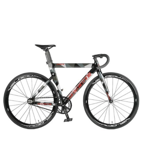 �������� ���� �����8 29 (2023����)