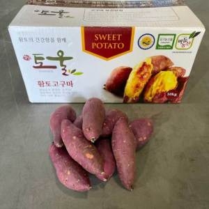 영암 토울고구마 꿀고구마 베니하루카 5kg 특상
