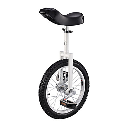 입문용 밸런스 20 외발자전거 해외구매 (화이트)