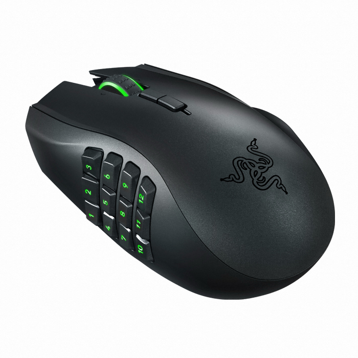 Razer Naga Epic Chroma_이미지