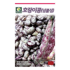 다농 호랑이콩 강낭콩 씨앗 30g