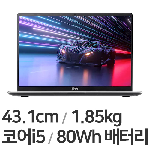 LG전자 2022 울트라PC 17UD70Q-GX50K (SSD 1TB + SSD 256GB)