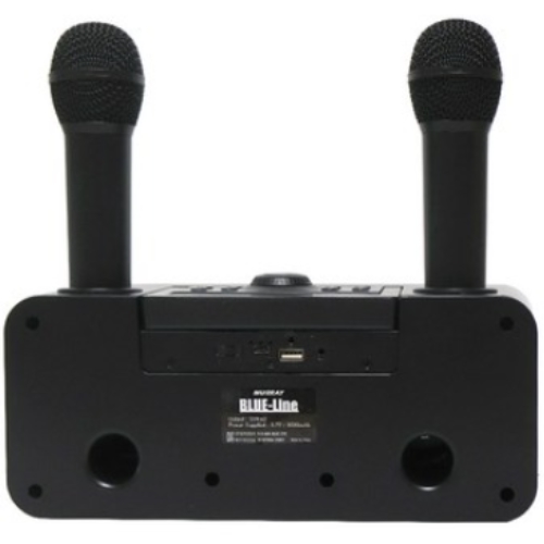 �ӷ��� BLUE LINE