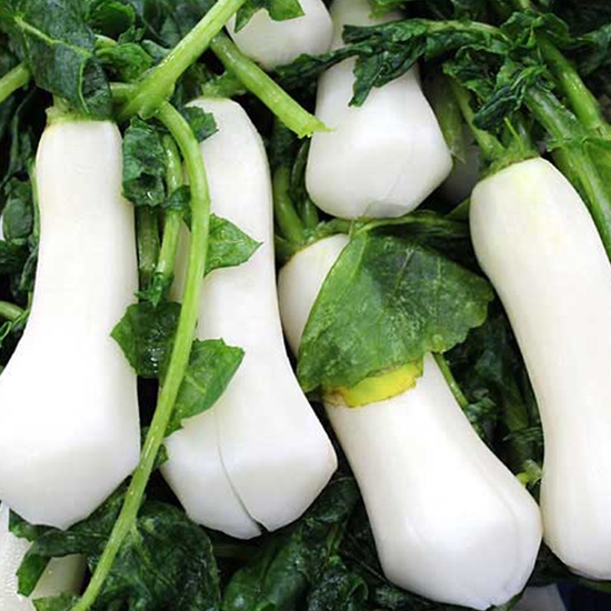 김치특구광주김치 절임 알타리무 3kg