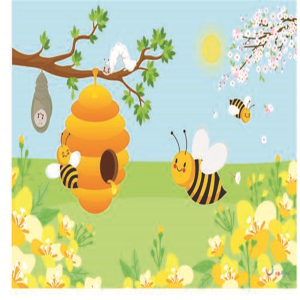 [불명] 리틀빅키즈 꿀벌의 한살이 무대배경_이미지