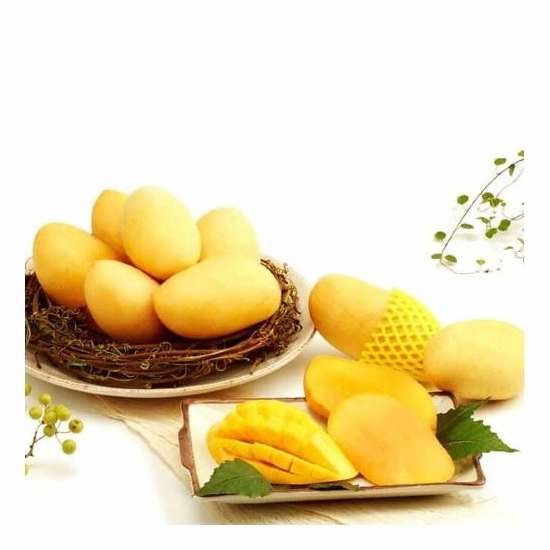 �´����� �ʸ��� ī��ٿ� ���� 8��(��) 2.5kg