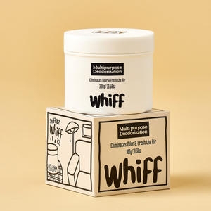 에이디인터내셔날 위프 실내탈취제 300g (1개)