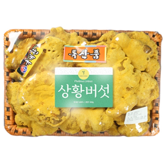 퓨어영 국내산 상황버섯 선물세트 500g이미지입니다. 누르면 해당 게시물로 새창이동합니다.