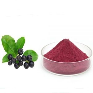 아로니아 분말 1kg