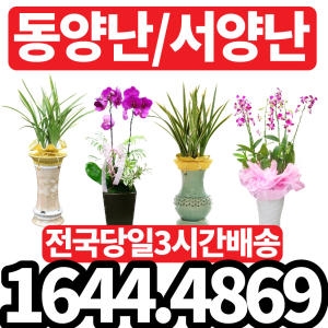 유림농원 화분 배달 서비스