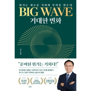  베가북스 BIG WAVE 거대한 변화 위기는 새로운 기회와 부자를 만든다 김영익