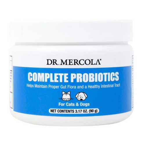 ���͸��ݶ� ���ø�Ʈ ���ι��̿�ƽ�� �� �� 90g