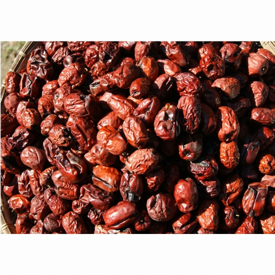 수련농원 대추 특열과 1kg
