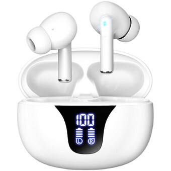 <b>블라우풍트</b> BLP-BE365
