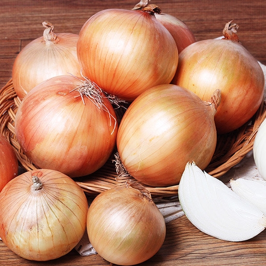 햇양파 특품 5kg
