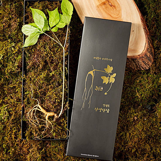 명가일품 명가천삼 강원도 토종 산양삼 5~6년근 1뿌리 (2개)