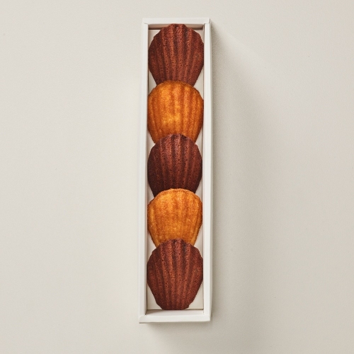 �������� ���鷻 ��Ʈ 5����