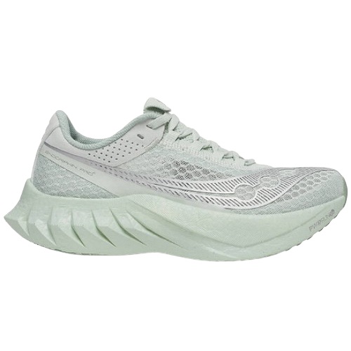 엔돌핀 프로 4 S10939-320