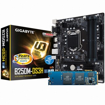 GIGABYTE GA-B250M-DS3H + 옵테인 메모리 16GB 피씨디렉트