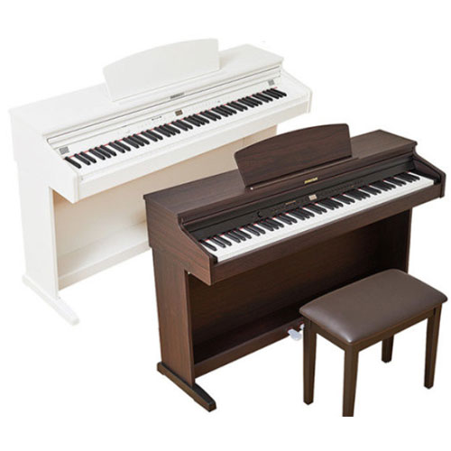 ���̳��� DT10
