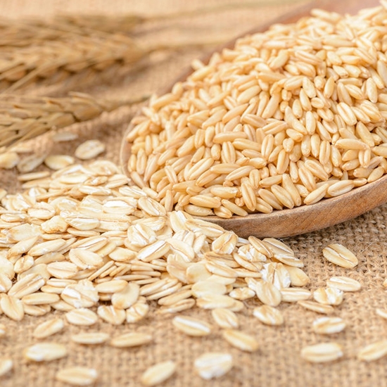 �ѳ���� ĳ���ٻ� �͸� 5kg