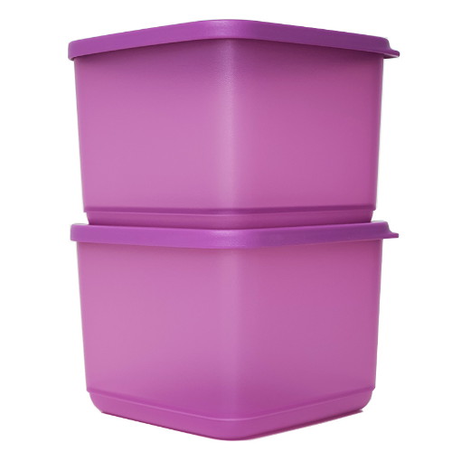 싱싱블럭 퍼플 1L