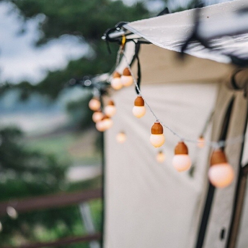 캠핑투데이 도토리 원목 LED