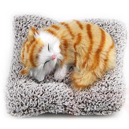 ƼĿ�� TKB ������ ������ ���ڴ� ���������� �Ƹ޸�ĭ�����