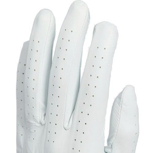 �Ƶ�ٽ� �Ƶ�ٽ����� ���� �۷��� HT6808