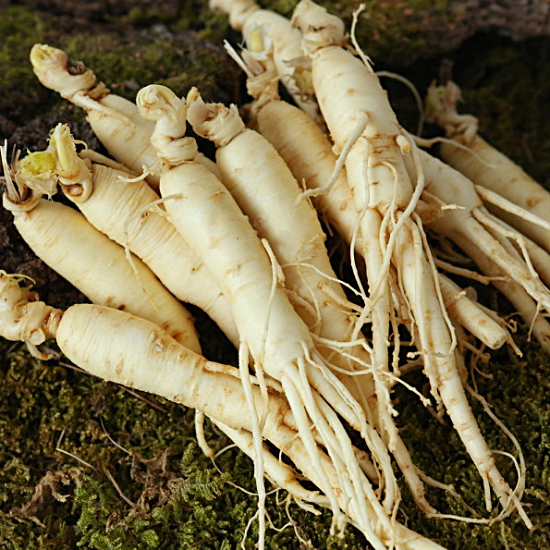 황금농장 세척인삼 중(삼계탕, 갈비탕용) 700g