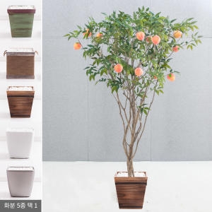 플라워트리 라인-복숭아나무화분set 240cm  조화  FREOFT이미지입니다. 누르면 해당 게시물로 새창이동합니다.