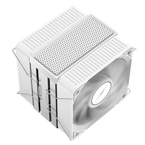 JIUSHARK JF150RS Lily