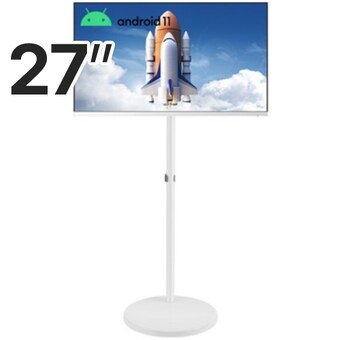 대성글로벌코리아 ViewSync DST270FA11 이동형 패키지