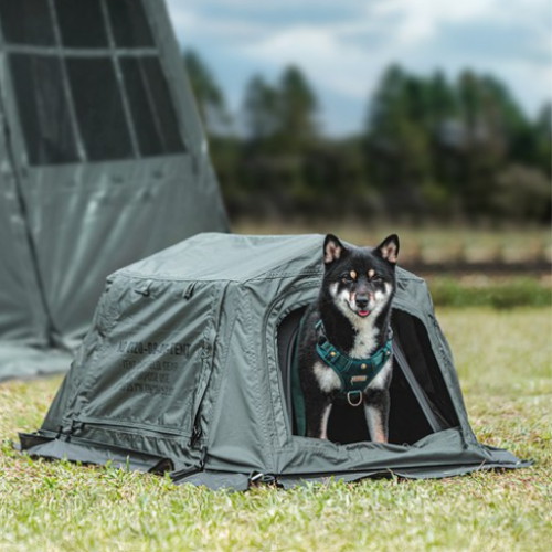 ī��� K251T3T10 ���ϵ� �ʵ� �� �Ͽ콺