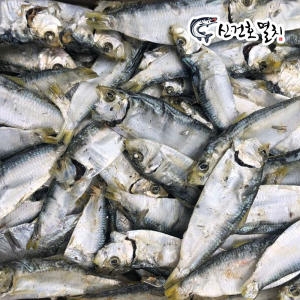 울돌목수산 햇 국산 디포리 띠포리 ~  멸치/국물용멸치/국물멸치/육수용멸치/다시멸치/볶음멸치/밴댕이_이미지