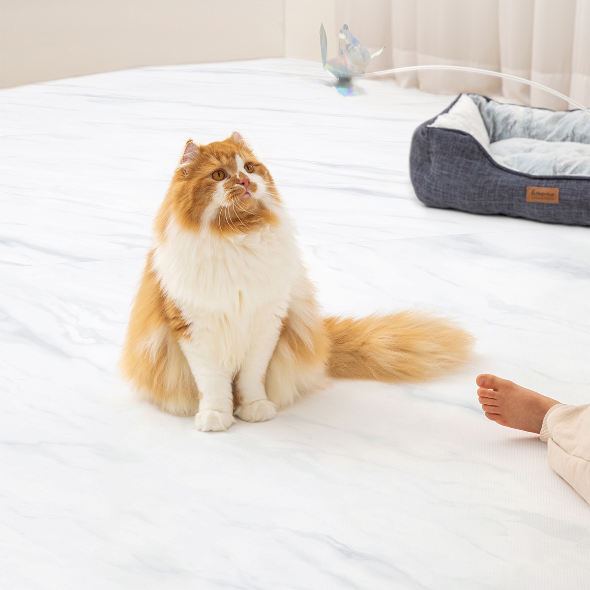 ��ǰ �� �̹���