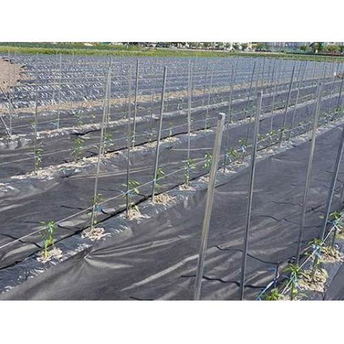 잡초의신 농업용 부직포 60g (1.8m x 200m)_이미지