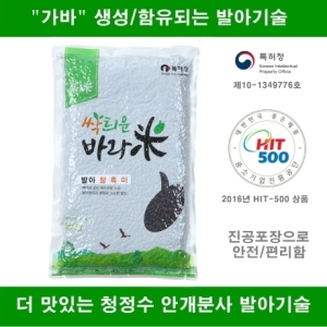  엘피스 2020 싹틔운바라미 발아 찰흑미 500g [5개]
