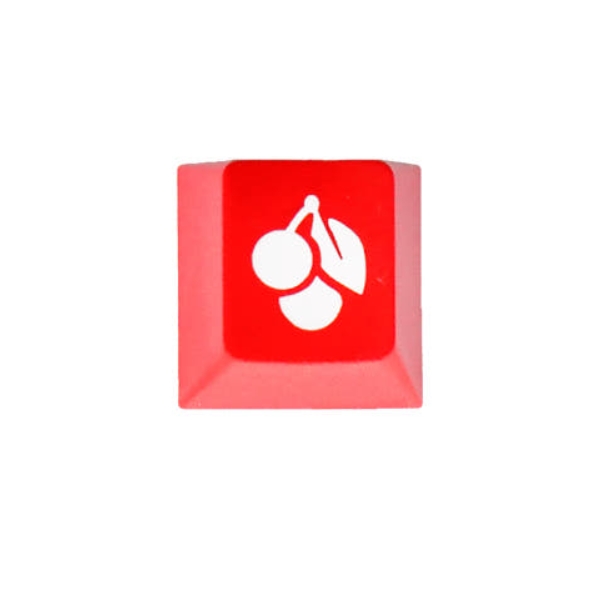 CHERRY 체리 포인트