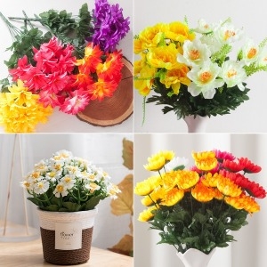 �ö��Ʈ�� ������15�� ���� ��ȭ ��Ҳ� ��ȭ ����� 1 �߸� �� ���� ����